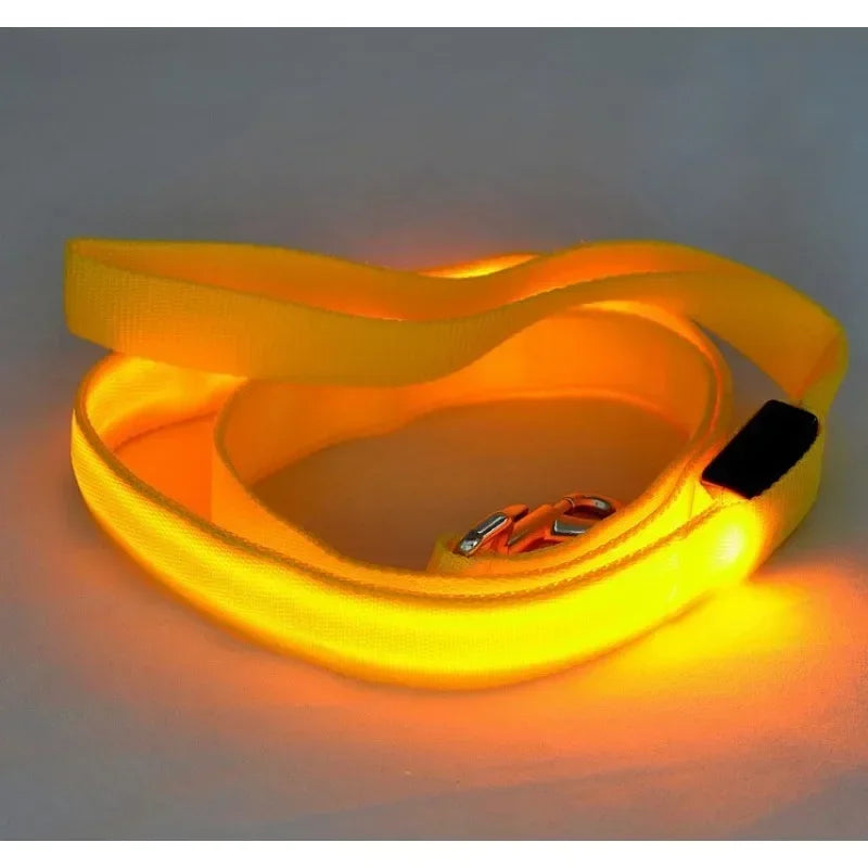 LED Light Up Dog Leash Flashing Glow For Safe Walking