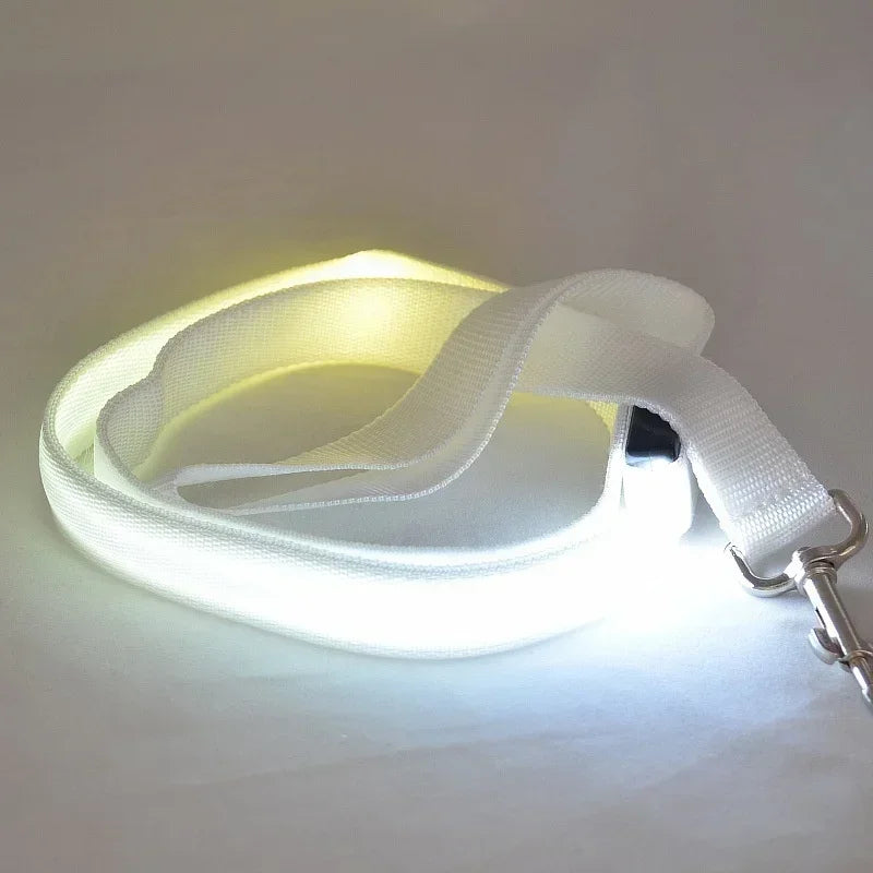 LED Light Up Dog Leash Flashing Glow For Safe Walking