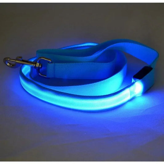LED Light Up Dog Leash Flashing Glow For Safe Walking