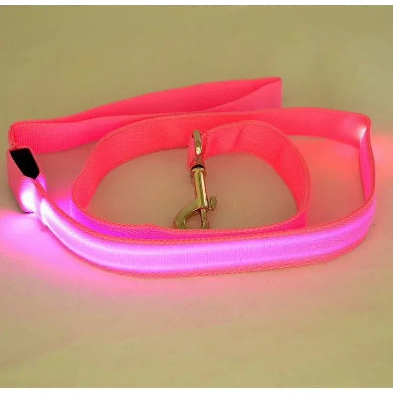 LED Light Up Dog Leash Flashing Glow For Safe Walking