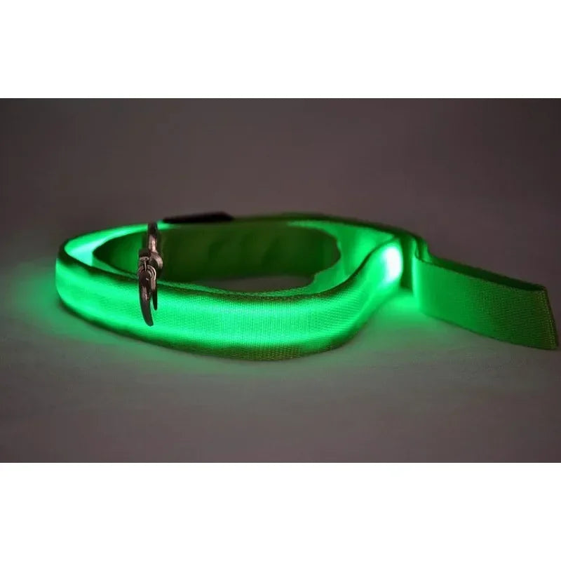 LED Light Up Dog Leash Flashing Glow For Safe Walking