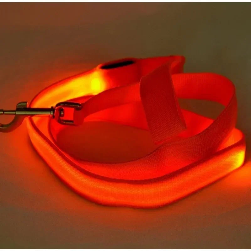 LED Light Up Dog Leash Flashing Glow For Safe Walking