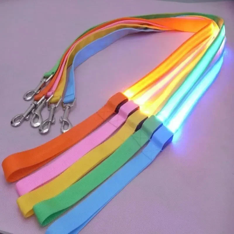 LED Light Up Dog Leash Flashing Glow For Safe Walking
